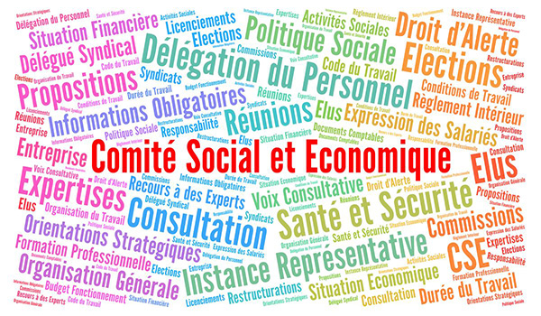 Comité Social & Economique